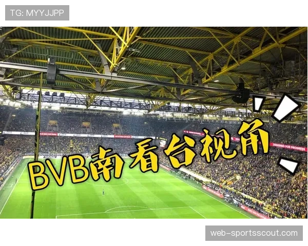 欧足联推出站席新规多特蒙德南看台需进行安全改造